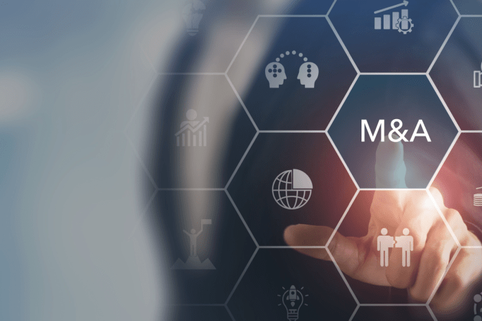 Top 10 Largest Publicly Traded Healthcare Companies by Market Cap in ...