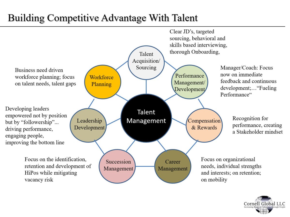 A dissenter's confession the strategy of economic development revisited talent strategy