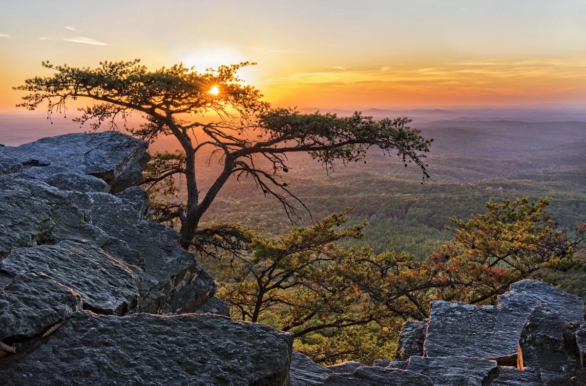 Alabama comprehensive economic development strategy cluster development