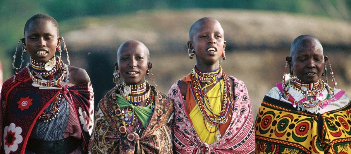 African economic development strategies regional integration