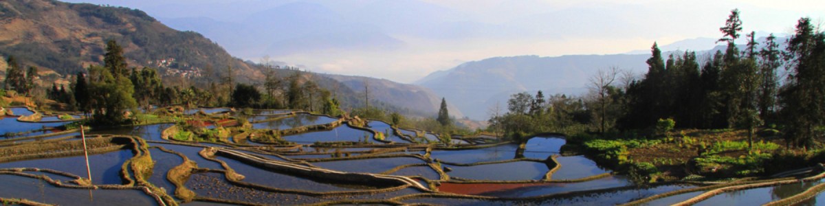 China's strategy for modernization and economic development venture capital