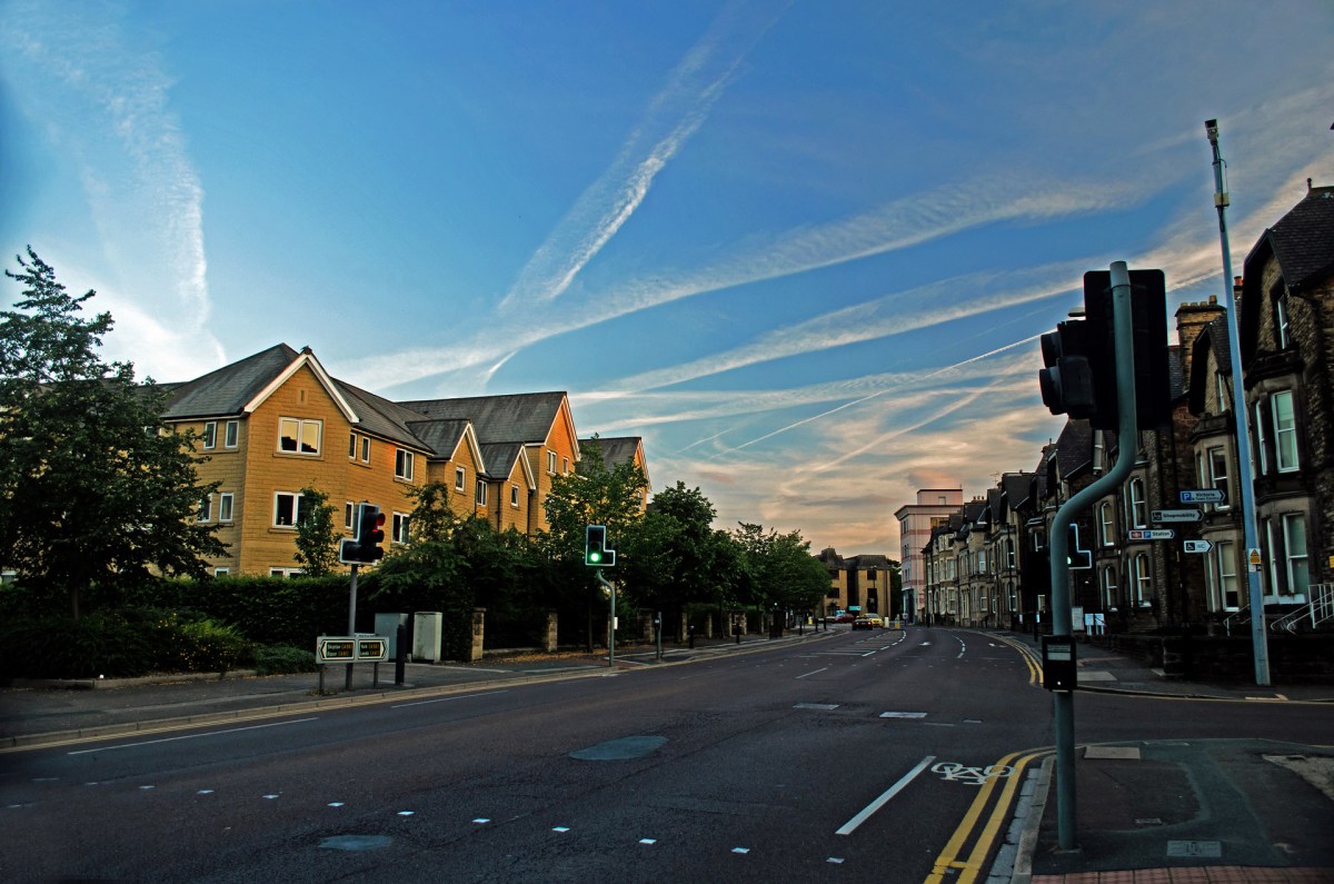 What is city economic development strategy social protection strategy